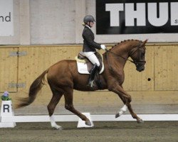 dressage horse Fiorucci Ht (Swedish Warmblood, 2009, from Florencio I)