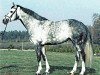 stallion Landilot (Westphalian, 1998, from Langenhagen)