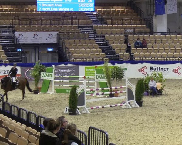 Reitturnier Neumünster 2019