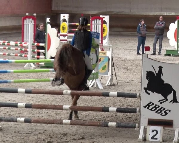 Reitturnier Tremsdorf, Eichenhof 2019