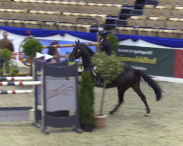 Reitturnier Neumünster 2019
