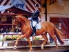 dressage horse Rosario S (Hessian Warmblood, 2001, from Royal Diamond)