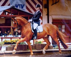 Dressurpferd Rosario S (Hessisches Warmblut, 2001, von Royal Diamond)