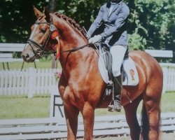 dressage horse TI King Lui (German Sport Horse, 2012, from Kaiser Karl)