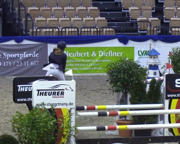 Reitturnier Neumünster 2019