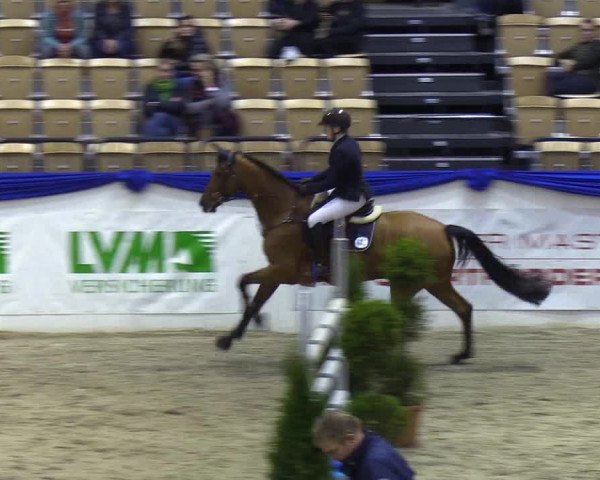 Reitturnier Neumünster 2019