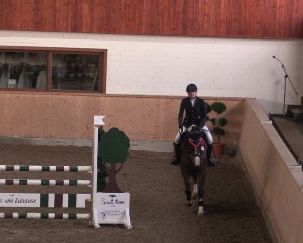 Reitturnier Hövelhof 2019