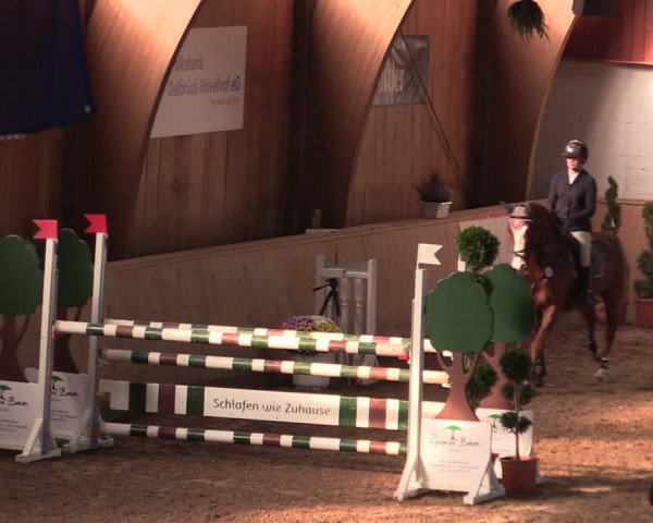 Reitturnier Hövelhof 2019