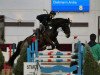 jumper Ratina 176 (Hessian Warmblood, 2000, from Rabanus)