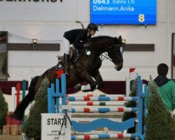 jumper Ratina 176 (Hessian Warmblood, 2000, from Rabanus)