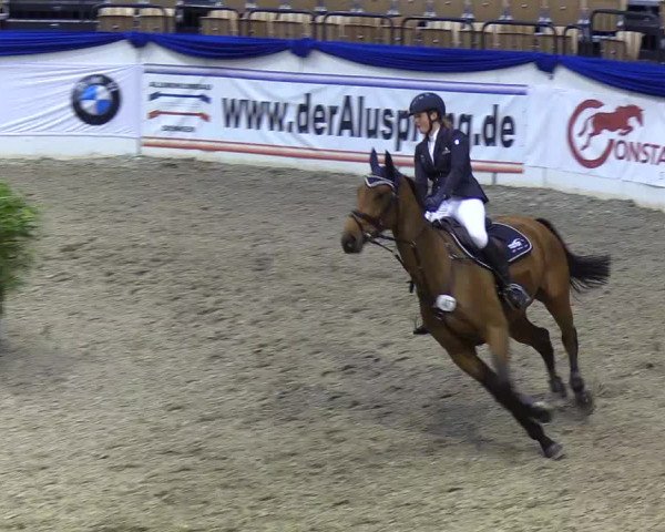 Reitturnier Neumünster 2019