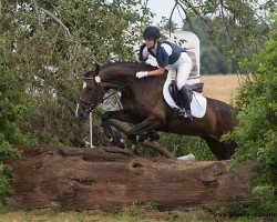 jumper Cäthe (Hanoverian, 2011, from Christ)