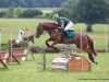 jumper Campbel (Bavarian, 2011, from FBW Cayton)