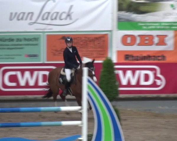 Reitturnier Wachtberg-Adendorf 2019