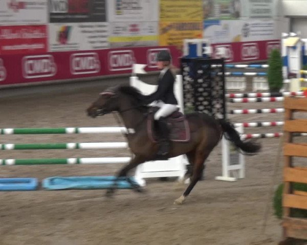 Reitturnier Wachtberg-Adendorf 2019