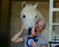 dressage horse Petit Marc Aurel (German Riding Pony, 2005, from Monte Christo)