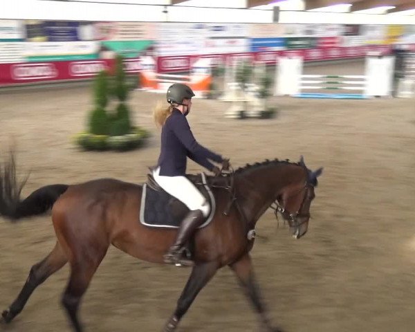 Reitturnier Wachtberg-Adendorf 2019