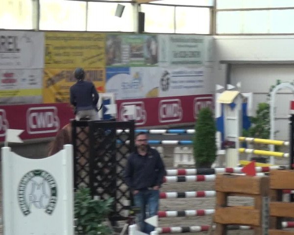 Reitturnier Wachtberg-Adendorf 2019