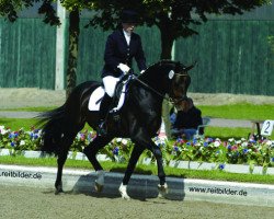 dressage horse Florian 441 (Holsteiner, 2000, from Florestan I)