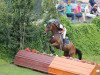 dressage horse Mac Myra (Hanoverian, 2011, from Markus Deak xx)