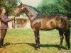 stallion Huf (Little-Poland (malopolska), 1981, from Amok AA)