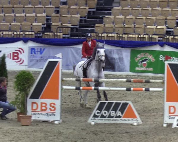 Reitturnier Neumünster 2019