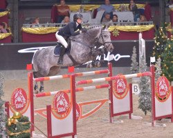 stallion Cupido Van De Hoefslag Z (Zangersheide riding horse, 2006, from Cartani 4)