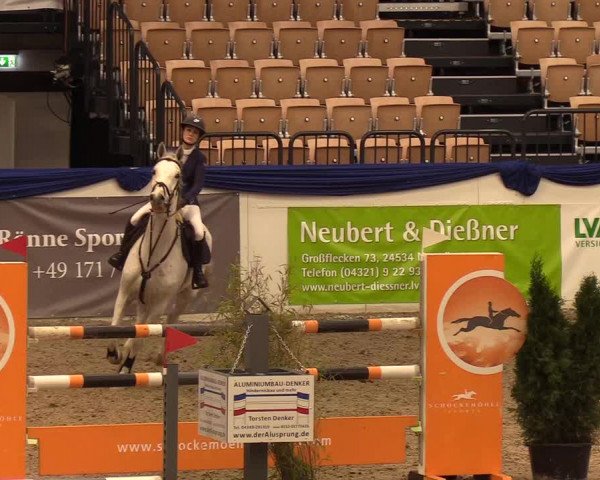 Reitturnier Neumünster 2019