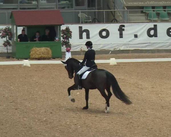 Reitturnier Kreuth/Opf. 2019