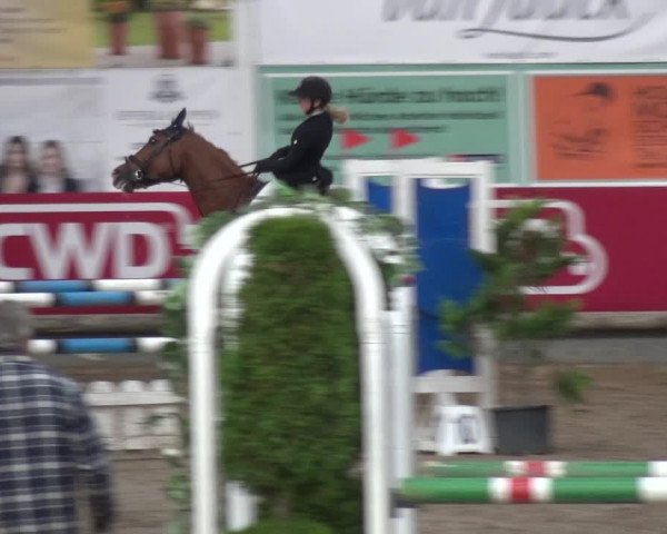 Reitturnier Wachtberg-Adendorf 2019