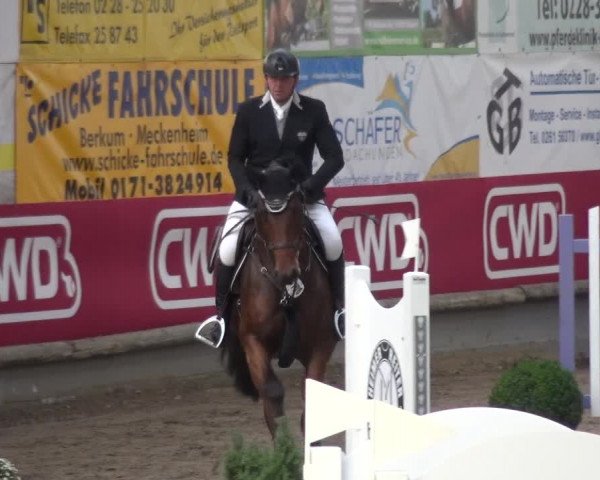 Reitturnier Wachtberg-Adendorf 2019