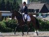 dressage horse Davinja A (Hanoverian, 2012, from Don Index)