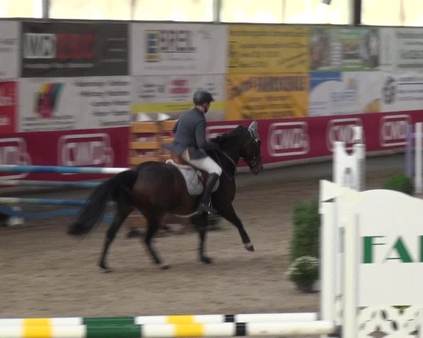 Reitturnier Wachtberg-Adendorf 2019