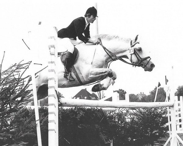 stallion Roman (Holsteiner, 1960, from Ramzes AA)