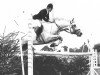 stallion Roman (Holsteiner, 1960, from Ramzes AA)
