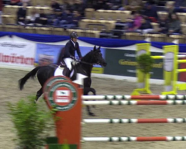 Reitturnier Neumünster 2019