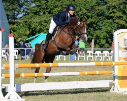 jumper Doodle Jump 4 (German Riding Pony, 2010, from Domingo)