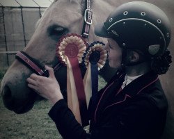 dressage horse Debby 145 (Fjord Horse, 2008, from Dylar)