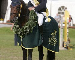 jumper Conthacco (Oldenburg show jumper, 2010, from Conthargos)