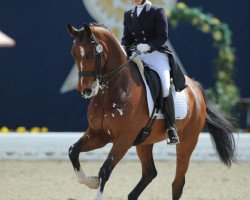 dressage horse Utah (KWPN (Royal Dutch Sporthorse), 2001, from Métall)