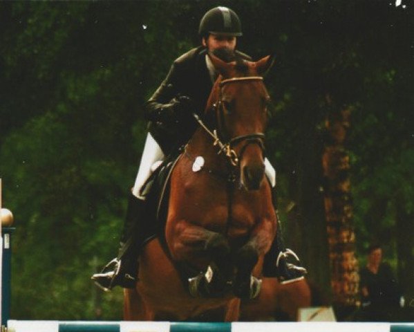 broodmare Fanny II (Holsteiner, 1991, from Crosby)