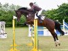 jumper Don Theo (Hanoverian, 2002, from Don Frederico)