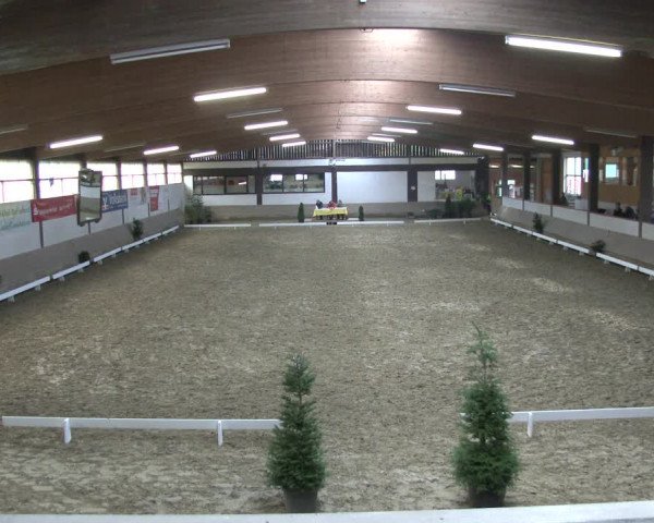 Reitturnier Vlotho-Valdorf 2019