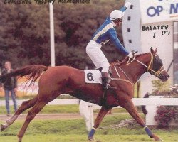 Pferd Balatev ox (Vollblutaraber, 1996, von Balaton 1982 ox)