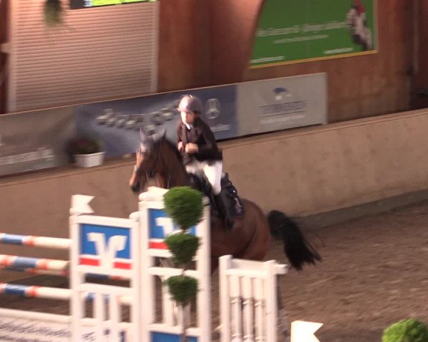 Reitturnier Hövelhof 2019
