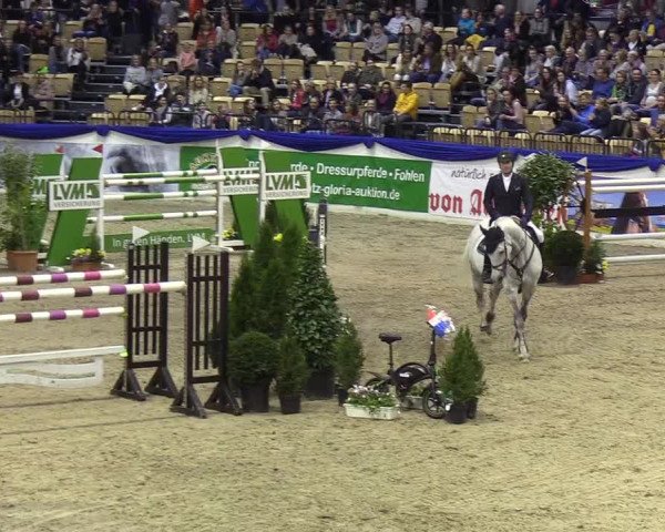 Reitturnier Neumünster 2019