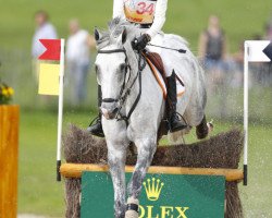 jumper Bayro (KWPN (Royal Dutch Sporthorse), 2006, from Casantos)