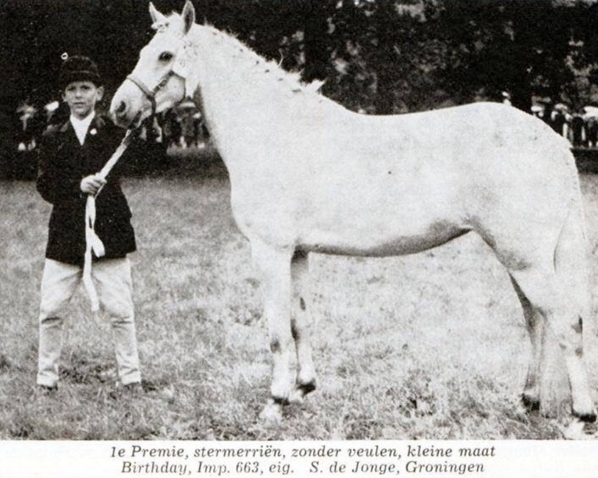 broodmare Birthday (New Forest Pony, 1961, from Forest Horse)