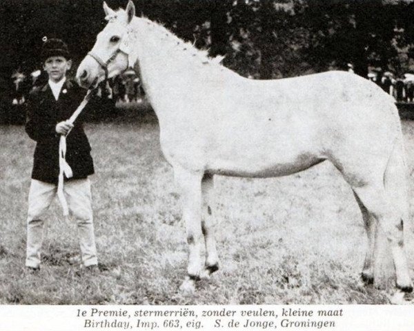 Zuchtstute Birthday (New-Forest-Pony, 1961, von Forest Horse)