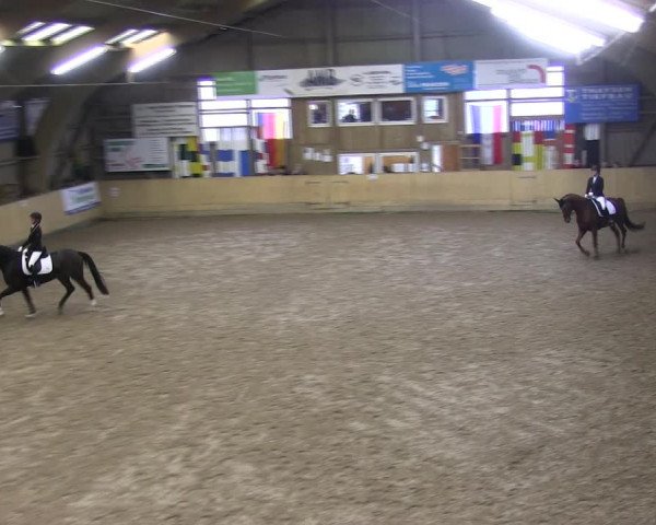 Reitturnier Sörup 2019